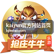 kaiyun官方网站首页下载与版本信息界面预览图