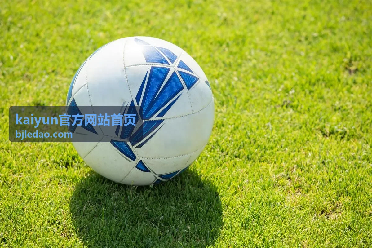 kaiyun官方网站首页功能面板设置界面截图