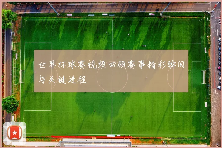 世界杯球赛视频回顾赛事精彩瞬间与关键进程