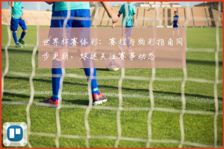 世界杯赛体彩：赛程与购彩指南同步更新，球迷关注赛事动态