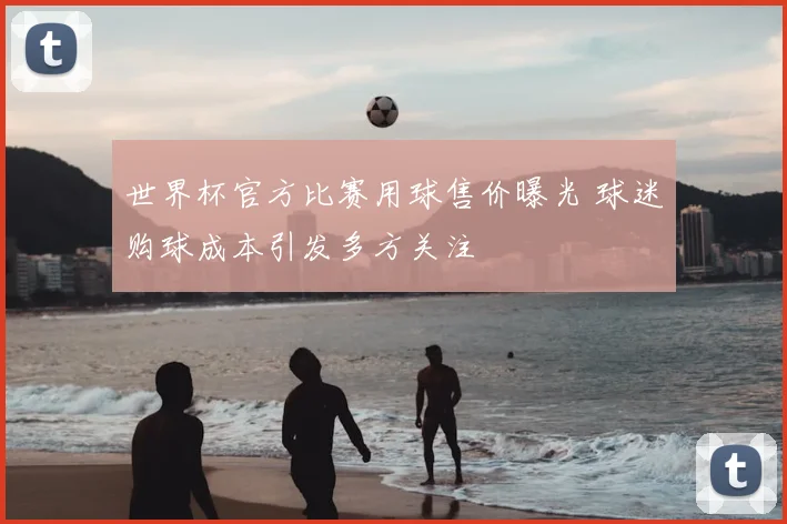 世界杯官方比赛用球售价曝光 球迷购球成本引发多方关注