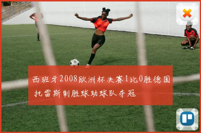 西班牙2008欧洲杯决赛1比0胜德国 托雷斯制胜球助球队夺冠