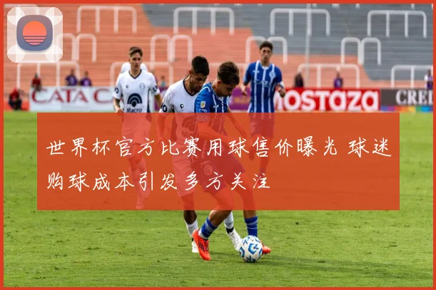 世界杯官方比赛用球售价曝光 球迷购球成本引发多方关注