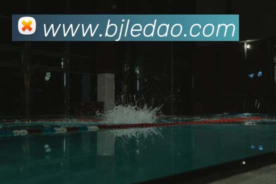 开云在线官网登录平台生态图